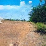 Bán 7 lô đất nền mặt tiền đường nhựa suối rao, huyện châu đức. diện tích 5x35m. sổ riêng có 80m