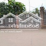 Bán đất 184m2 sổ đỏ cất két, chính chủ, thửa đất vuông tờ a4, gần nhiều dự án quy hoạch