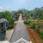 Bán 15m mặt tiền đường số 9, gần ngã tư 14, suối nghệ, châu đức, br - vt