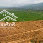 đất 1200m, 100m ont-view cánh đồng. đ/c: tân vinh, lương sơn, hb. nhỉnh 3 tỷ
đất đã cải tạo cơ b