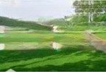 Bán nhà đường nguyễn đình chiểu gần xuân quỳnh. dt 181,5m(8m x 22m) giá 7,2 tỷ.