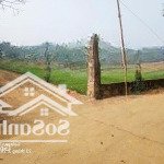6200m có 400m tc giá chỉ nhỉnh 4tr m2 ạ . bám cánh đồng xanh mát chủ đã trải thảm cỏ xinh tươi
đấ