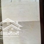 Bán lô đất siêu đẹp mặt đường 203 hoa động , tp thủy nguyên giá tốt cho nhà đầu tư.