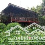 Cho thuê lô đất 3 mặt tiền trước sau võ nguyên giáp, diện tích: 6300m2 - ngang 93m