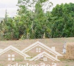 Bán bt legacy hill, tân vinh, lương sơn, hòa bình giá cực chất 20 triệu/m2, 218m2
