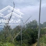 Bán đất mặt tiền quốc lộ 20, xã trạm hành, đà lạt 12mx32m