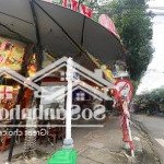 Bán đất tặng nhà 2 mt đường 10m5 phan tứ, khu phố tây an thượng, ngũ hành sơn, giá tốt 30,5 tỷ/264m