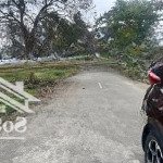 Bán nhanh đất nền 100 m2 tại hu phân lô bắc hạ, quang tiến