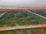 - đất nền, sổ hồng,full thổ cư, cạnh khu cn trung hà 200ha, giá bình dân.