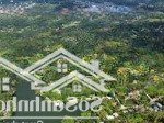 Bán và chuyển nhượng resort thung lũng ngọc linh - tiến xuân - thạch thất - hà nội 0988.529.528 vip