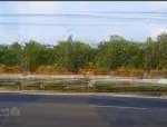 Nhanh tay sở hữu đất đẹp dương tơ giá siêu hời