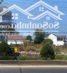 Chính chủ cần tiền bán gấp gần 300m2 đất dương tơ