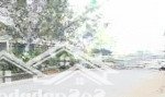 Mặt phố- đường 40m, vẻ hè mênh mông - kinh doanh sầm uất trịnh văn bô 110 m2, 4 tầng, mặt tiền 5.