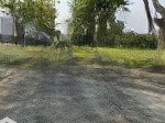 Bán nền biệt thự song lập kdc phú xuân, nhà bè, giá rẻ nhất thị trường, dt 210m2, giá 45tr/m2