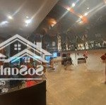 Cho thuê 668m2 mặt bằng kinh doanh cực hot - lô góc - trung tâm quận đống đa