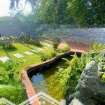 Em nguyệt nha trang cần bán nhà vườn đẹp thuộc thành phố nha trang.