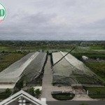 Bán nhà xưởng 10.540m2 kcn phú an thạnh, bến lức, long an