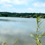 Cần tiến bán gấp 1 sào view hồ bám mặt nước đối diện du lịch sinh thái