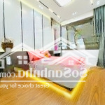 Bán nhà phú mỹ mỹ đình 40m2 4t lô góc full nội thất cao cấp giá 5,5 tỷ