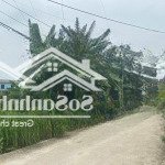 Cần bán lô đất mặt tiền 55m2 tỉnh lộ dt87a nằm trong quy hoạch kđt tản viên sơn giá chỉ 6tr/m2