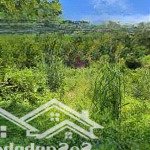 đất view đồi - thích hợp làm khu nghỉ dưỡng