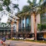 Của hiếm cho thuê mặt bằng đường lê đức thọ. dt 184m2, mt 7,5m