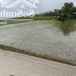 Em còn vài lô đất vườn xã phú đông giá tốt cho anh chị đầu tư