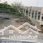 Bán đất mt đường nguyễn văn nhâm - 525tr / 130m2 - tt bến lức long an