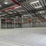 Cho thuê xưởng ngay kcn sóng thần 3, đại đăng, thủ dầu một bình dương 8000m2, 15.000m2, 20.000m2...