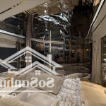 Bán căn hộ đập thông 6th element 190m2 tầng trung full nội thất view công viên và hồ starlake