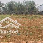 Chính chủ bán tái định cư vai réo phú cát - quốc oai, hà nội 0977.514.027