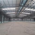 Bán đất xây dựng xưởng 3ha kcn long thành, huyện long thành, đồng nai