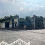Cho thuê nhà xưởng 1440m2, kinh doanh sản xuất