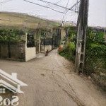 Chủ nhà cần tiền thanh khoản gấp lô đất 79.1m2 tại thanh lâm, mê linh giá shock. hot deal chốt liền