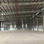 Cho thuê nhà xưởng mới xây dựng tại huyện tứ kỳ - hải dương