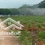 Cần bán đất hắc dịch, tx phú mỹ cách trung tâm hắc dịch 1,5km