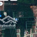 Vị trí đẹp đông dân cư giá không tưởng luôn. mua là thắng với lô đất này