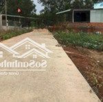 Khu phố 4 khu trung tâm 1 sẹc giá ngộp sâu nhất