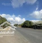 Nay chủ hạ sát đáy thị trường nên e lên lại