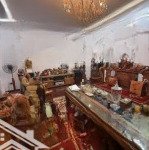 Chính chủ bán biệt thự song lập khu a geleximco lê trọng tấn giá nhỉnh 200 tr/m2 full nội thất