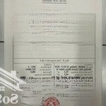 Nhà bán 183/48 huỳnh thị hai, tân chánh hiệp q12, 100 m2, cấp 4, giá 3 tỷ 2, tuấn 0907183972