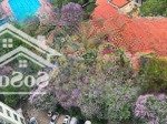 Bán biệt thự song lập làng quốc tế thăng long, nguyễn đỗ cung, dịch vọng
205m2, 4 tầng, 6 ngủ, 3vs