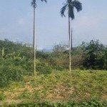 Gấp 1280m2. 300m2 thổ cư. nam phương tiến, chương mỹ hà nội. gia đình cần bán. 0979174833 ạ