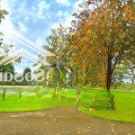 Biệt thự song lập park riverside view sông full nội thất 19 tỷ - lh 0931.769.486 xem nhà