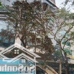 Chủ hạ cực sốc 4 tỷ ,bán nhanh toà nhà văn phòng,mặt phố ,thanh xuân,vỉa hè siêu to,kinh doanh đỉnh