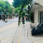 Bán nhà mặt phố huế - bàng bài: dt 386m2 x2 tầng, mt 10m, vuông văn, tiện xây bulding, sổ đỏ( mtg)