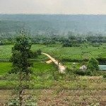 Cắt 1000m có 200 thổ cư còn lại đata vườn , đất vuông như bánh trưng view cánh đồng view núi
nhìn s