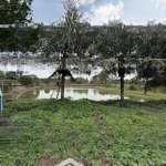 Bán đất vườn khu vực gần dầu dây - điều kiện đầy đủ - sổ sẵn, sang tên ngay