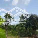 Bán đất vườn tại xà bang châu đức, vũng tàu, dt 5000m2, giá 750tr/s, có 100m2 tc đường 5m bê tông