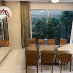 Cho thuê biệt thự phú gia, phú mỹ hưng: sân vườn rộng, đi bộ 3p đến hồ bơi